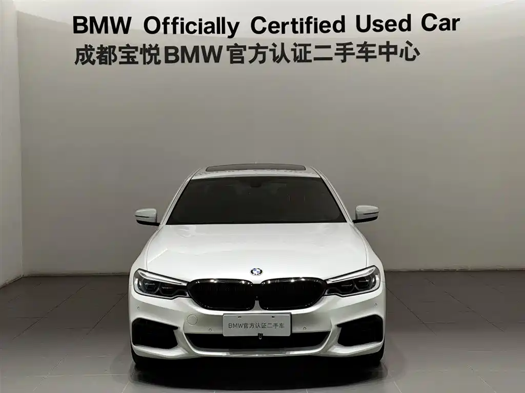 BMW 5 Series 2020 530Li Exclusive M Sport Package