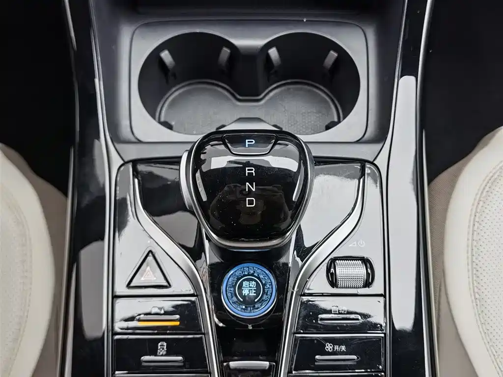 BYD Qin PLUS 2024 Glory Edition DM-i 55KM Leading фото 13