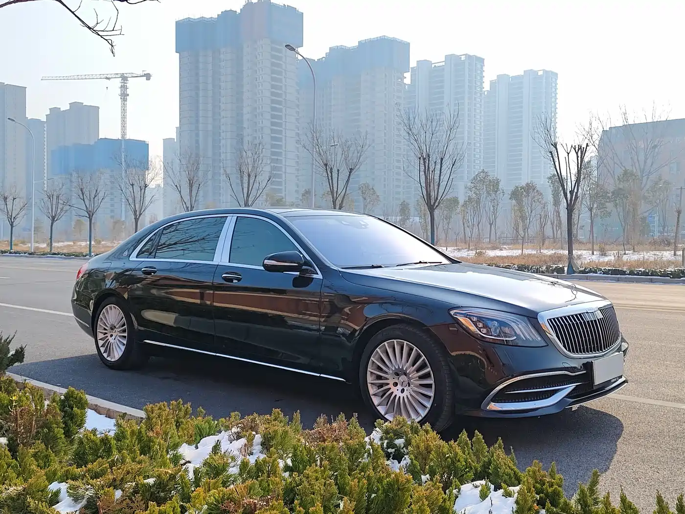 Mercedes-Benz Maybach S-Class 2019 S 450 4MATIC фото 15