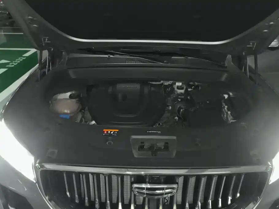 Geely Xingyue L 2021 2021 2.0TD High Power AWD Flagship