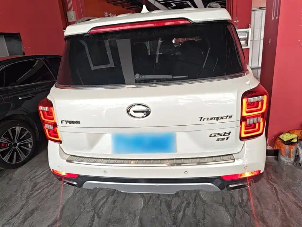 GAC Trumpchi Trumpchi GS8 2017 320T 2WD Luxury Smart Connect (7-seater) фото 6