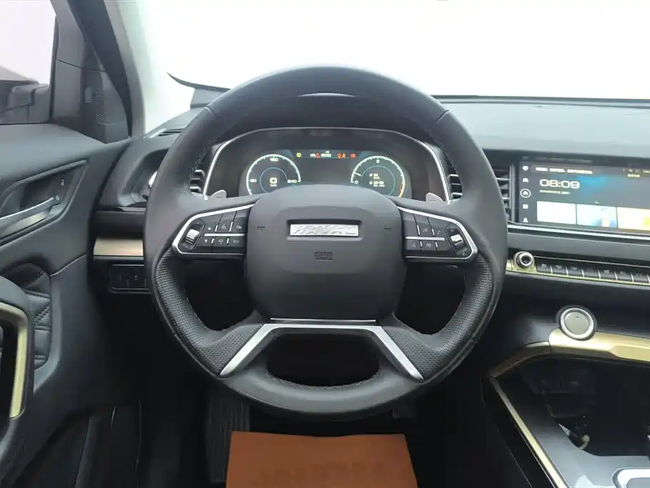 Haval H6 2020 1.5GDIT Automatic Platinum Luxury Edition фото 15
