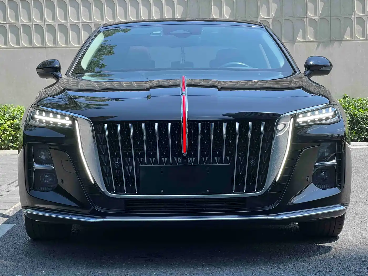Hongqi H5 2024 2.0T Automatic Smart Connect Flag Smooth Edition фото 2
