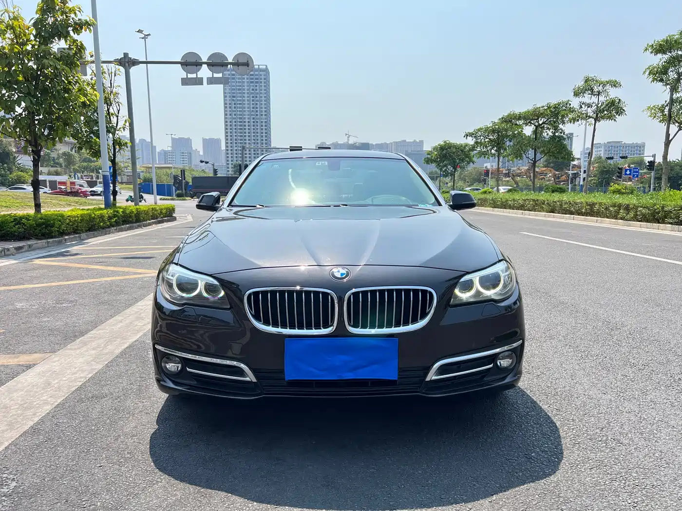 BMW 5 Series 2014 520Li Elegance фото 2