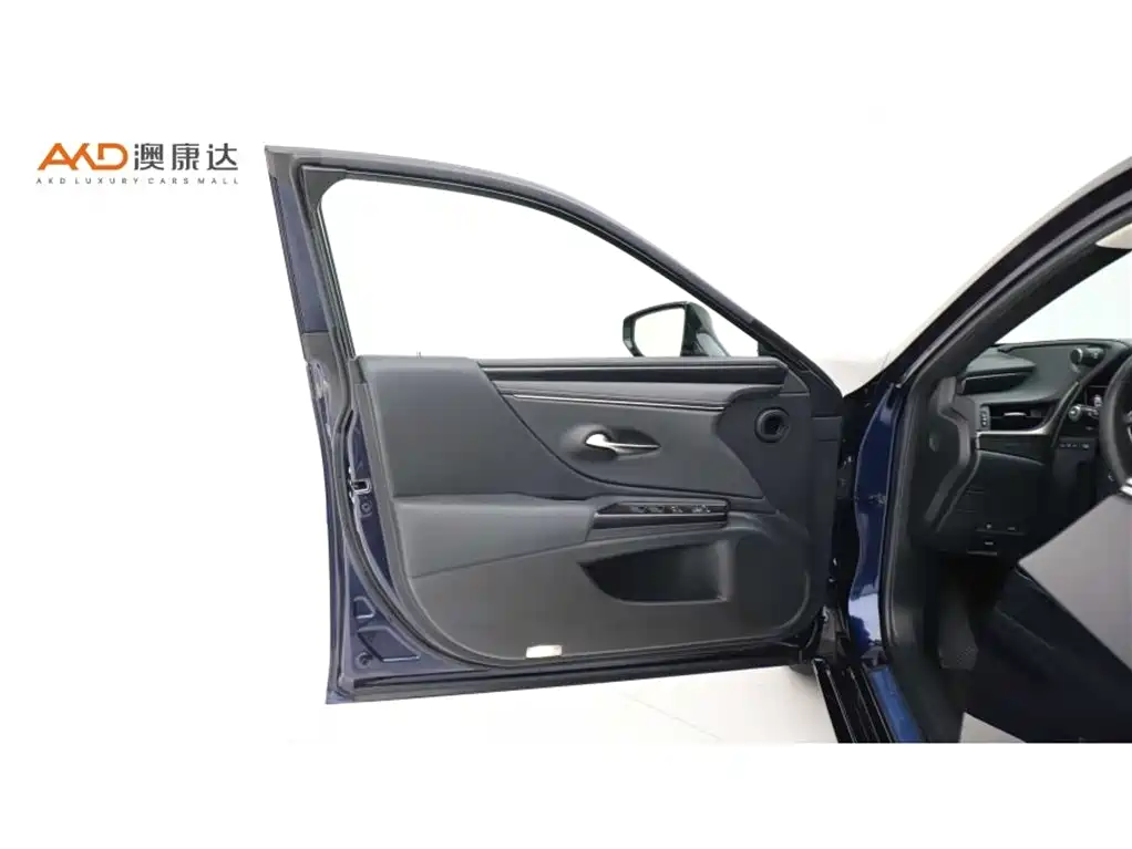 Lexus ES 2020 Model 260 Excellence Edition фото 10