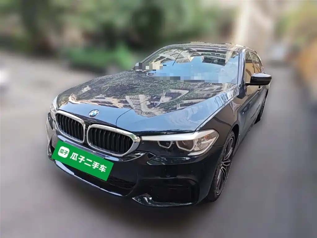 BMW 5 Series 2019 530Li Leading M Sport Package