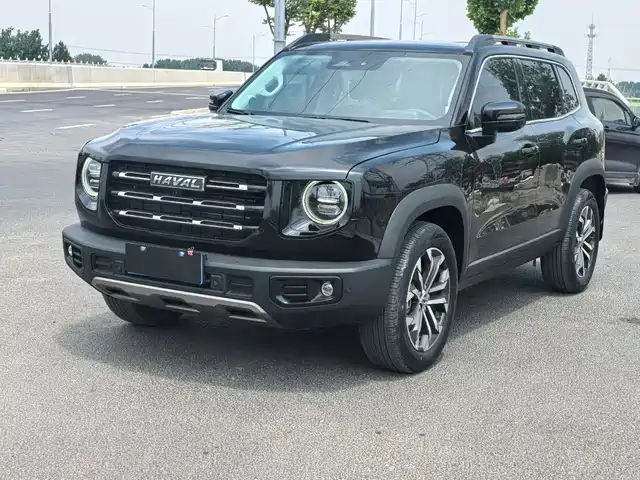 Haval Haval Big Dog 2024 1.5T DCT Border Collie Edition