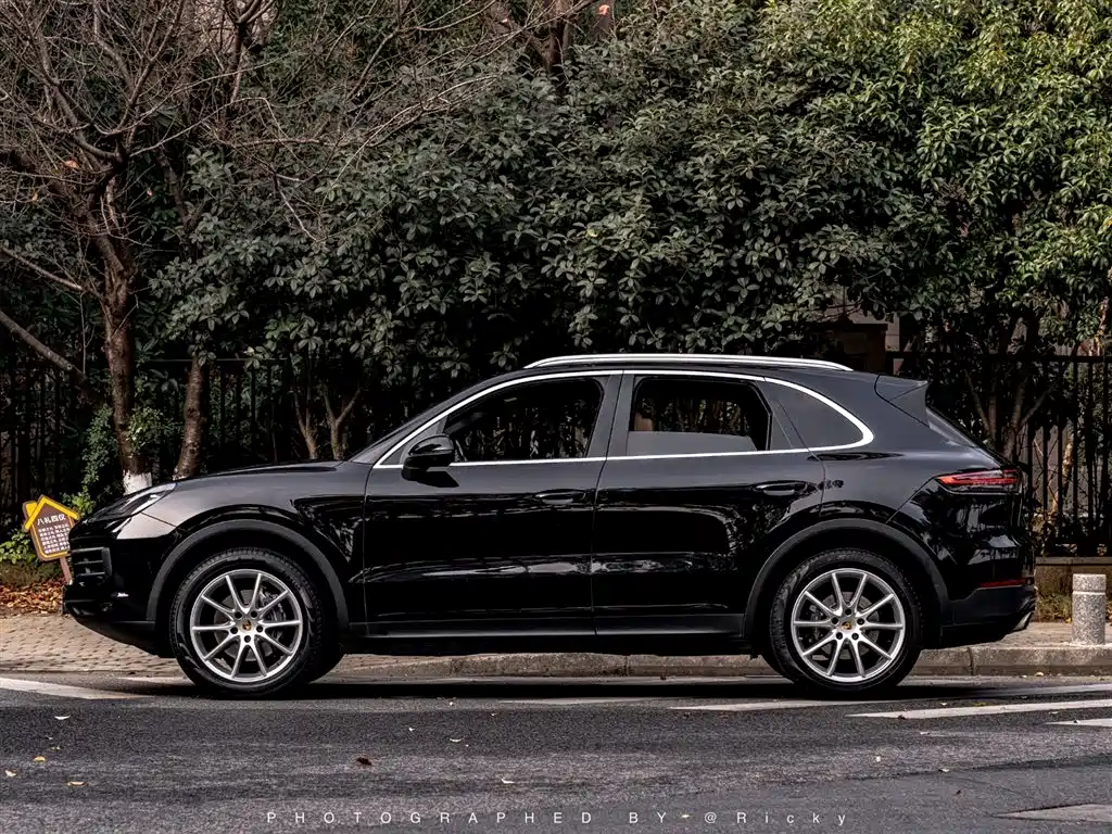 Porsche Cayenne 2018 Cayenne 3.0T фото 2
