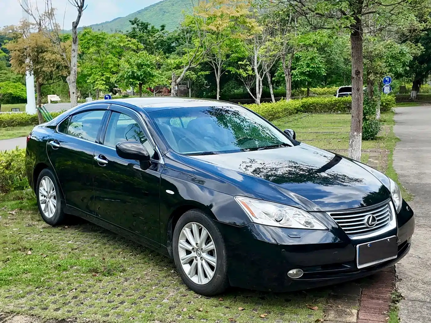 Lexus ES 2010 350 Luxury Edition фото 16