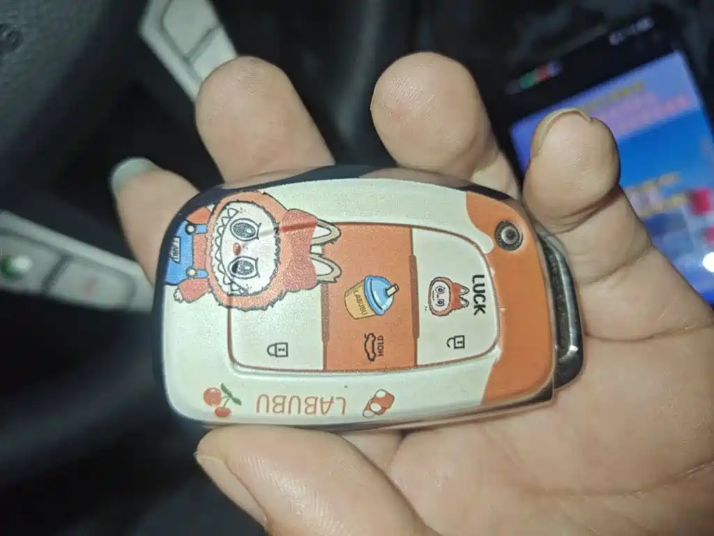 HYUNDAI NAME PICTURE