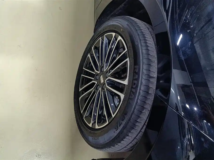 Geely Galaxy Galaxy Xingyao 8 2025 130km EM-i Premium Edition фото 6