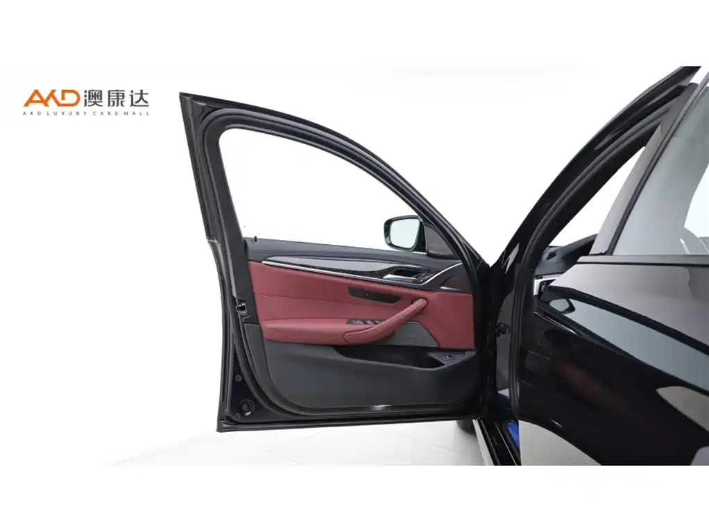 BMW 5 Series 2019 Facelift 530Li Premium M Sport Package фото 10