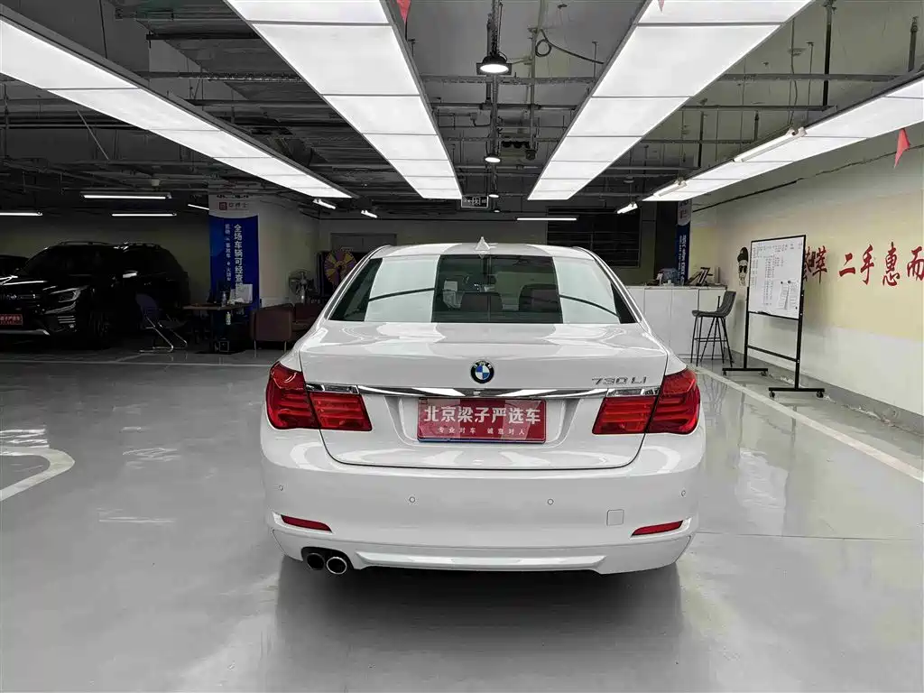 BMW 7 Series 2009 730Li Leading фото 15