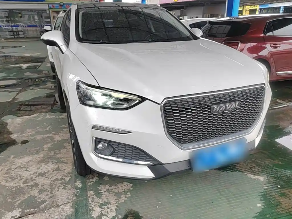 Haval F5 2019 2019 National Trend Edition 1.5T iTrend China VI