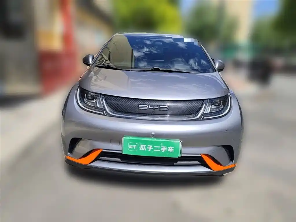 BYD Dolphin 2021 405km Freedom Edition фото 3