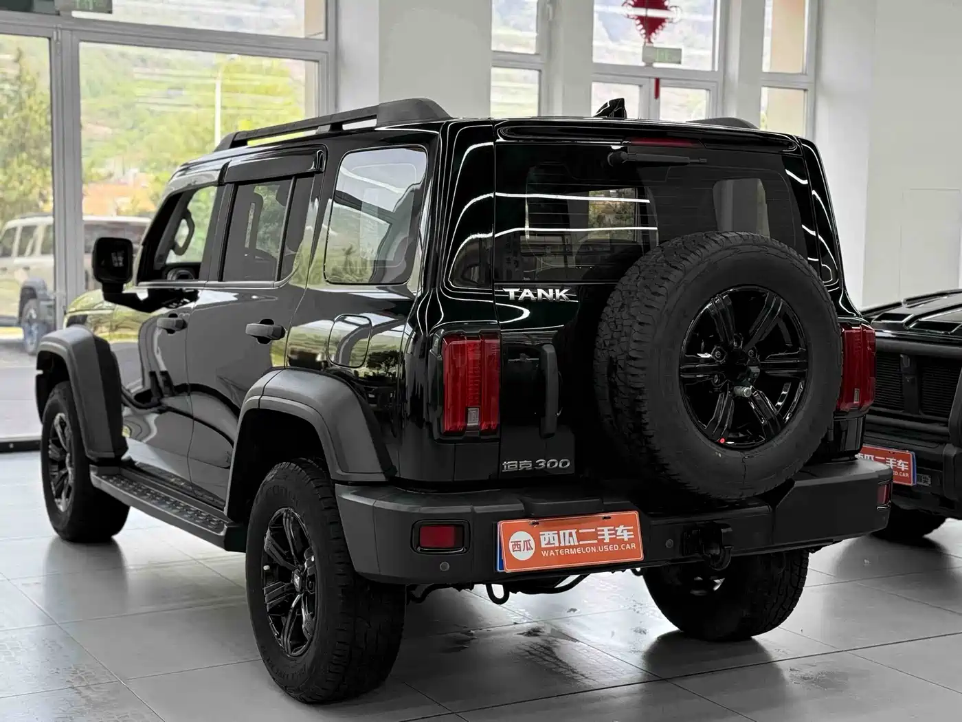 Tank 300 2021 Off-road Version 2.0T Conqueror фото 11