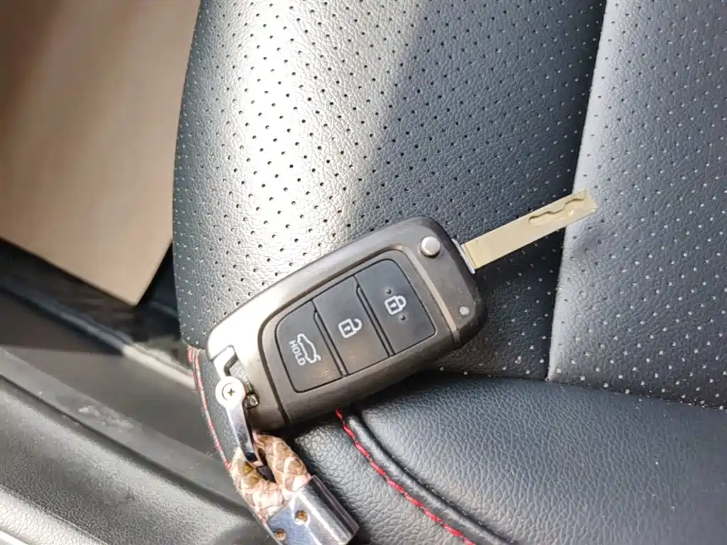Hyundai Elantra 2018 1.6L Automatic Pleasing Edition GL China VI фото 9