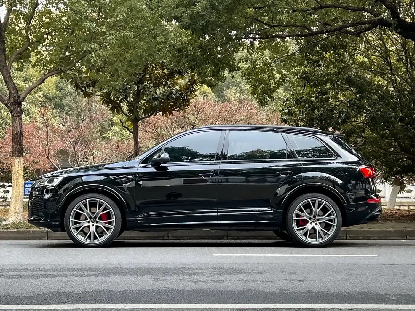 Audi Q7 2023 55 TFSI quattro S line Ice & Snow Sport Edition фото 7