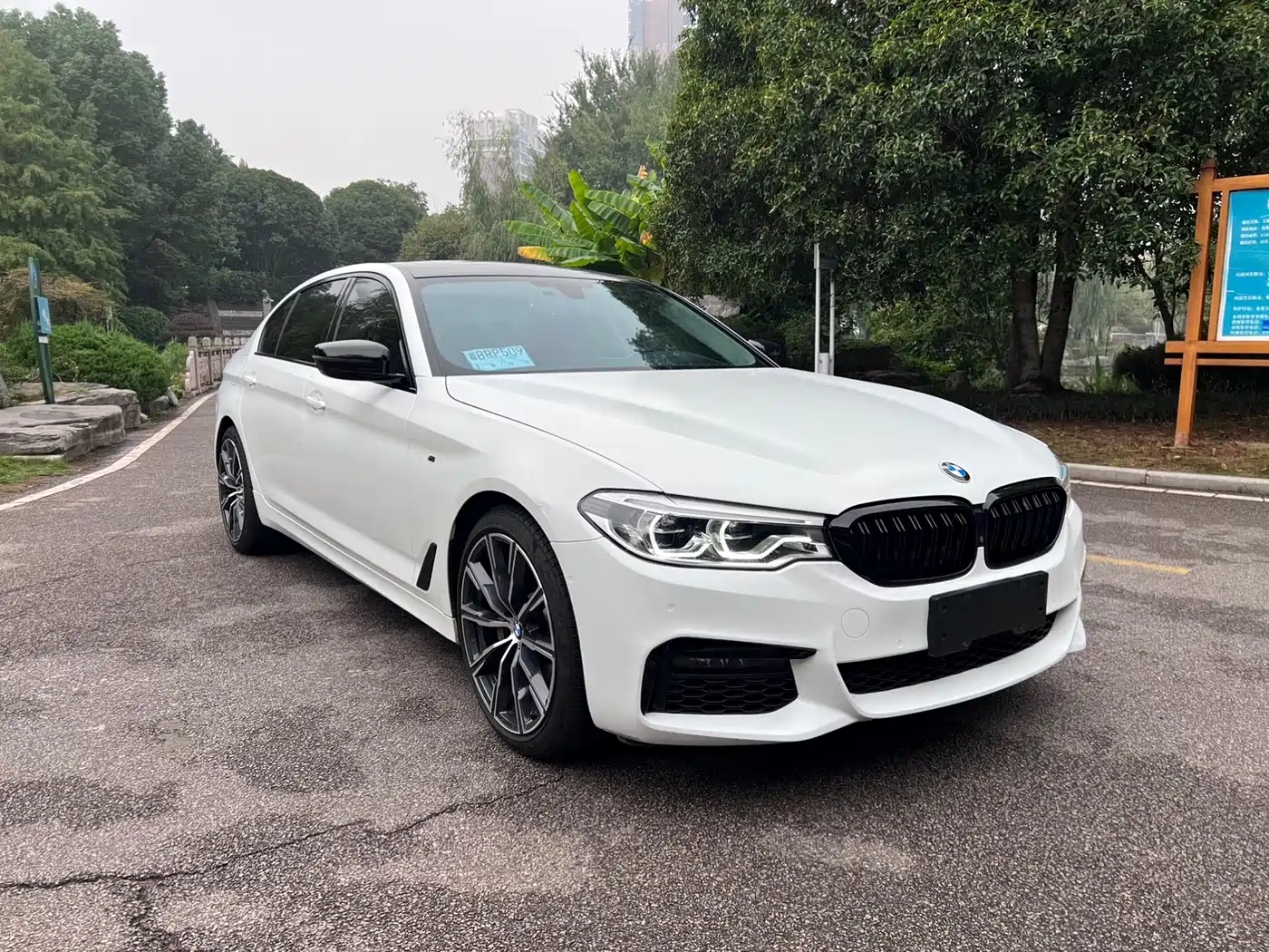 BMW 5 Series 2019 530Li Premium Luxury Package