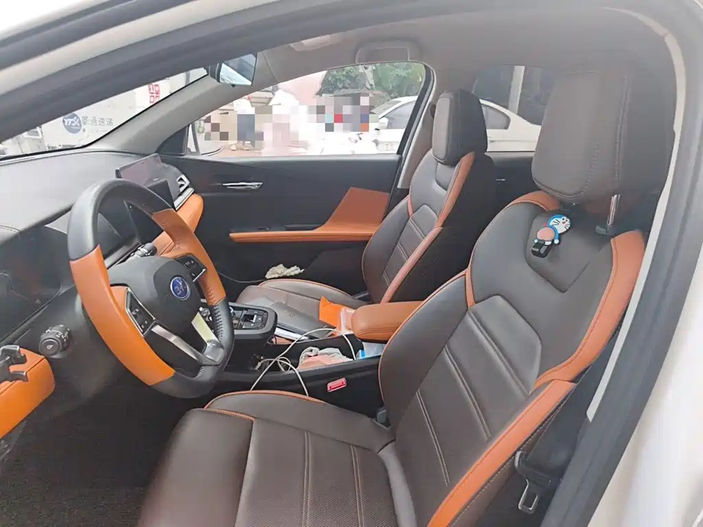 BYD e2 2021 2021 Luxury Edition