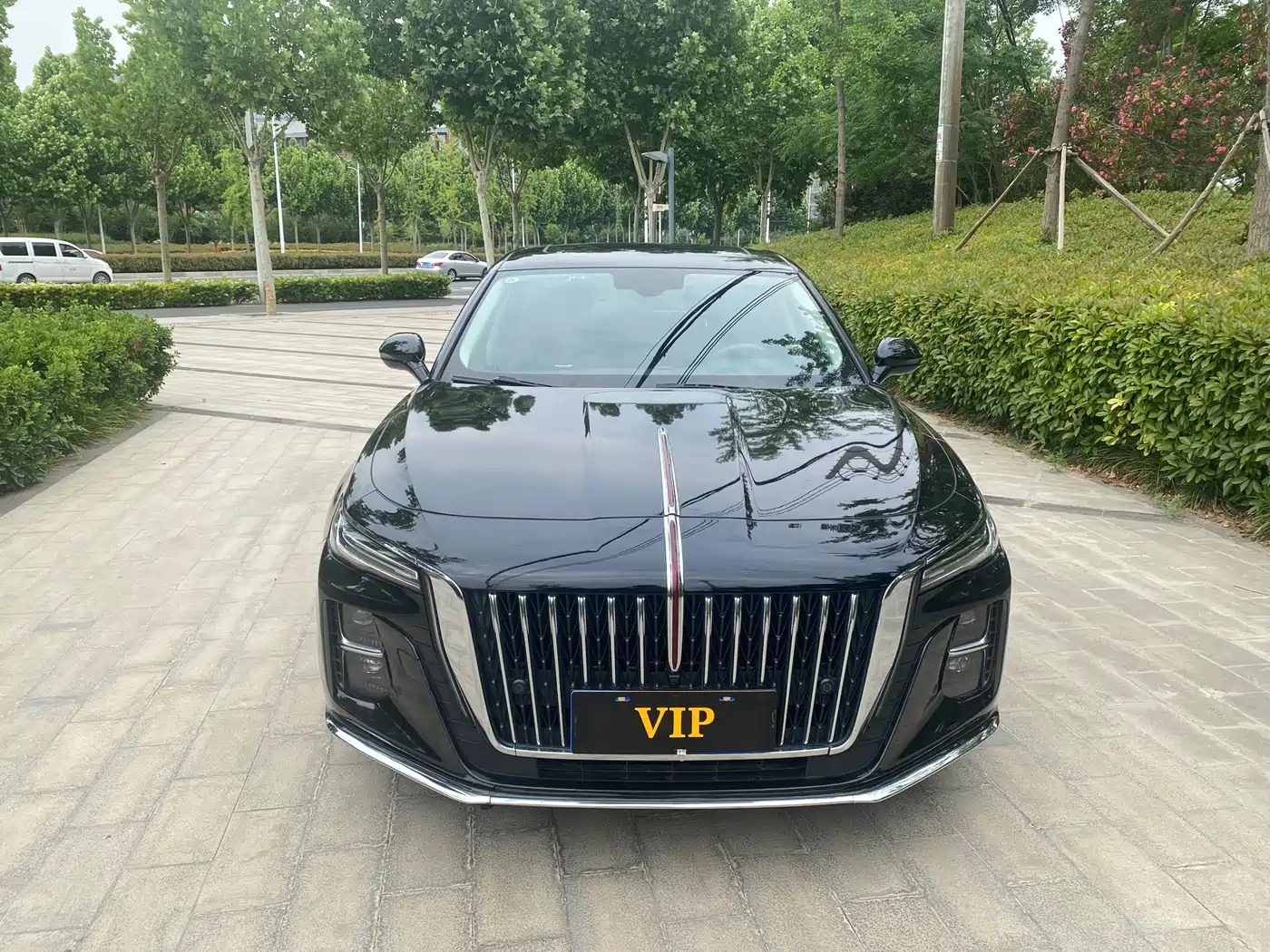 Hongqi H5 2023 1.5T DCT Smart Connect Flag Rhythm фото 2
