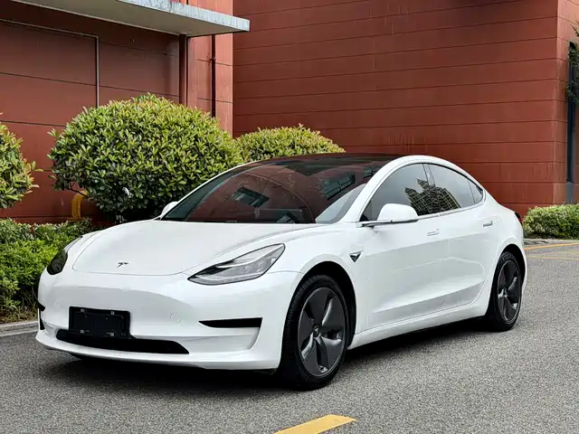 Tesla Model 3 Задний привод