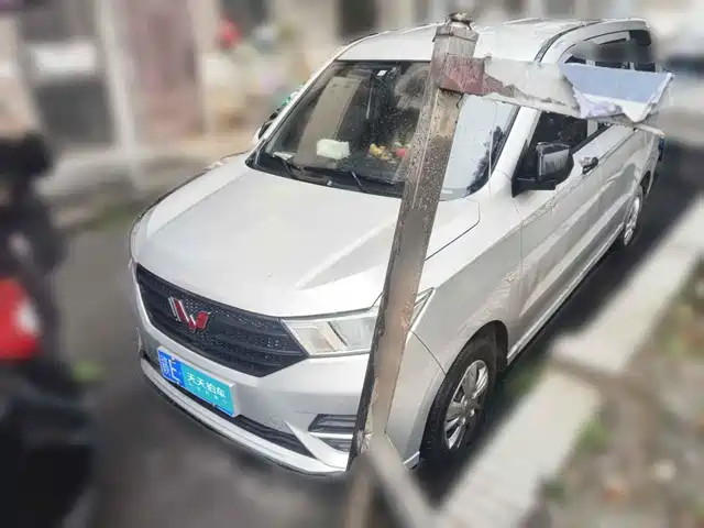 Wuling Motors Wuling Hongguang 2022