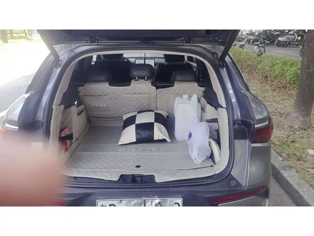 BYD Yuan PLUS 2025 2025 Smart Drive 510KM Surpass Edition