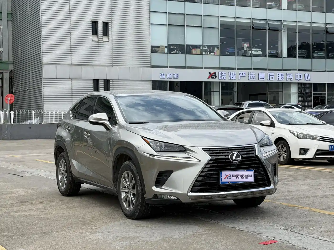 Lexus NX 2020 300 FWD F Line China V фото 3
