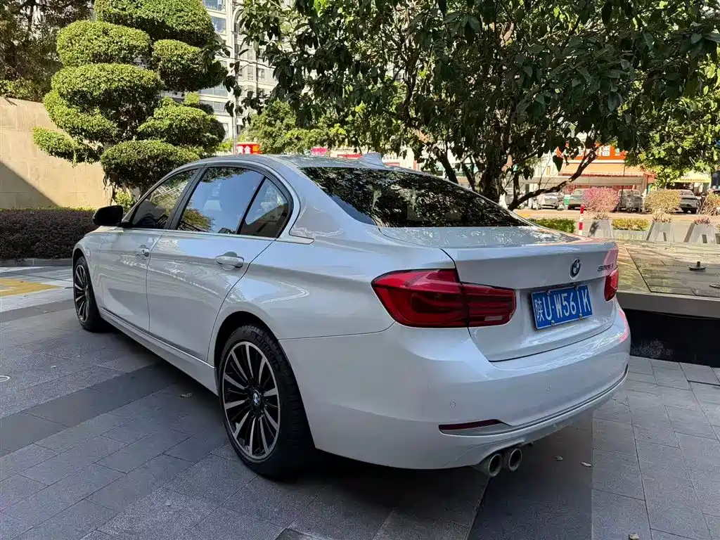 BMW 3 Series 2018 320Li Fashion Style фото 4