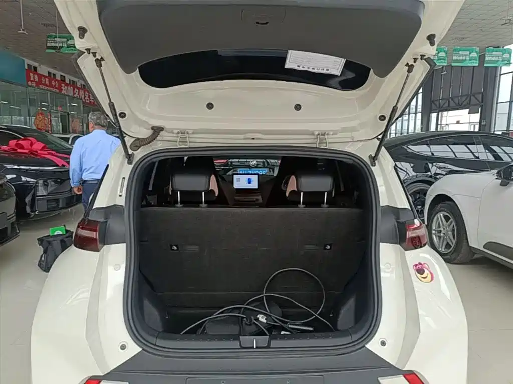 BYD Seagull 2025 305km Vitality фото 15