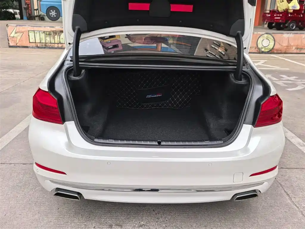 BMW 5 Series 2020 525Li Luxury Package фото 15