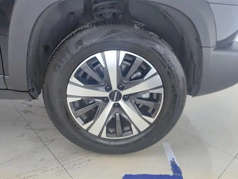 Haval Big Dog 2022 1.5T DCT FWD Labrador Edition фото 6