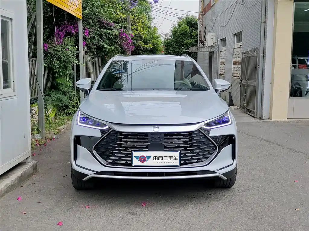 BYD Tang New Energy 2024 DM-i Honor Edition 112KM Premium фото 2