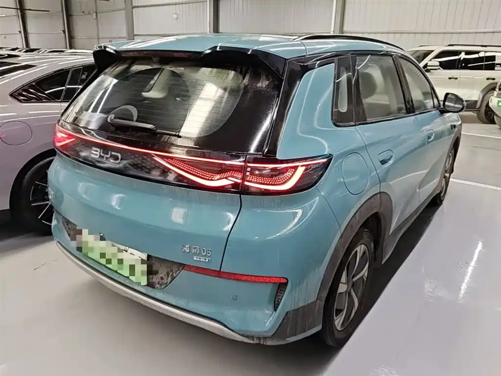 BYD Hai Shi 05 EV 2025 520KM Smart Navigation Edition фото 7
