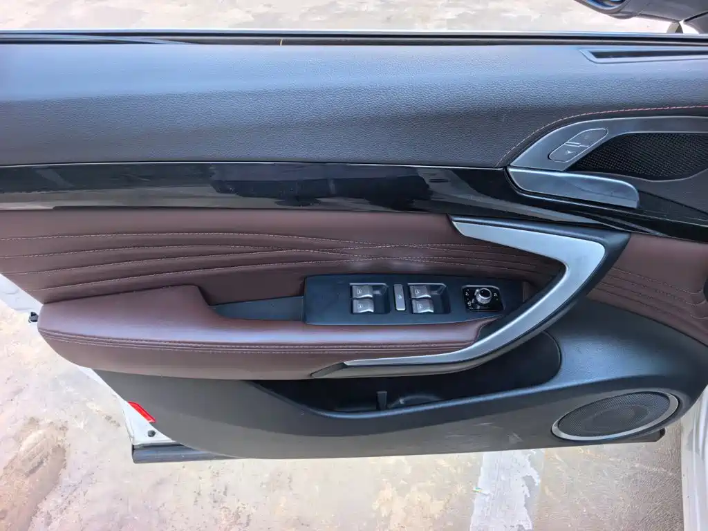 WEY P8 2018 2018 2.0T Flagship Model