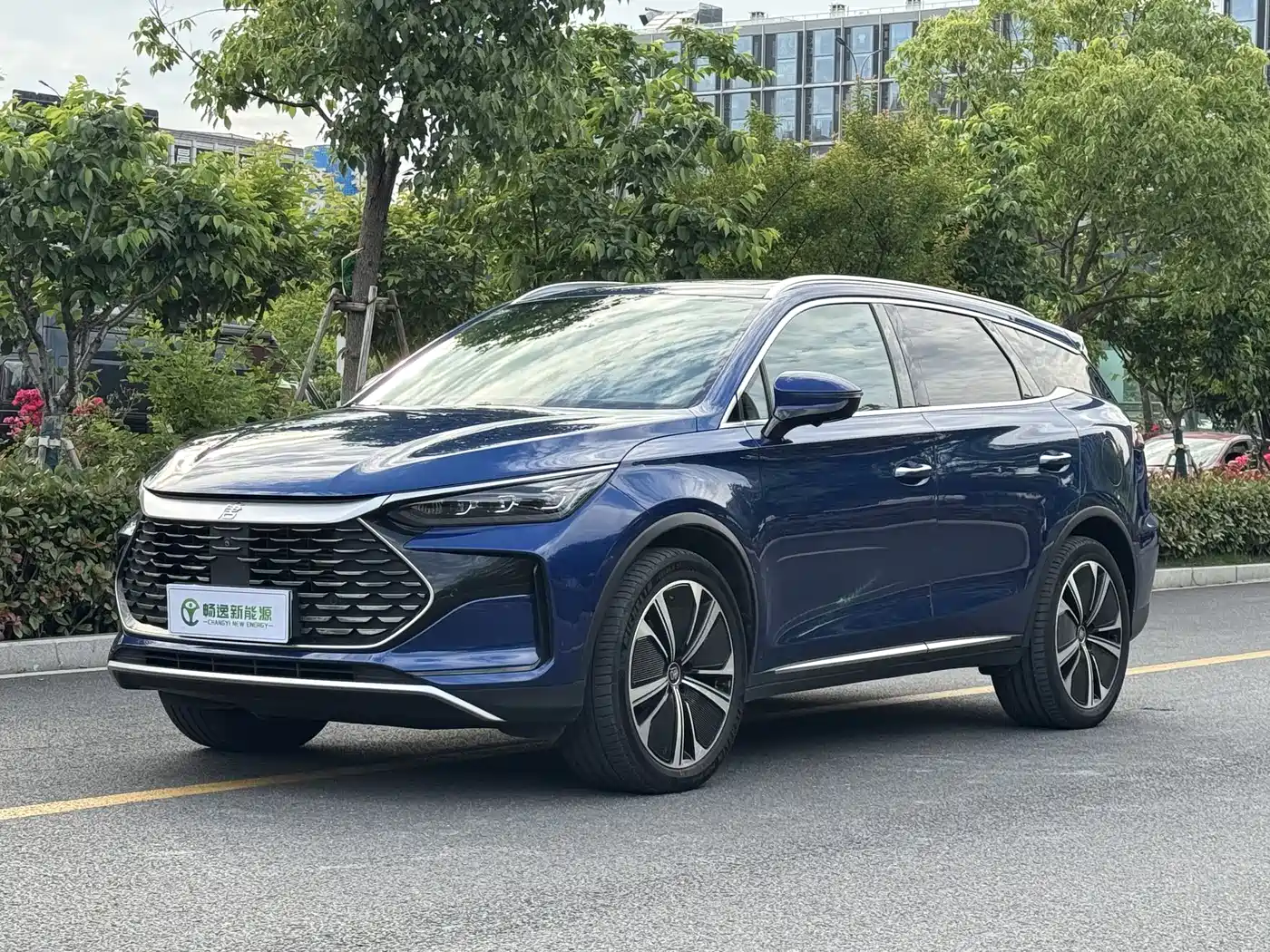 BYD Tang New Energy 2022 DM-p 215KM AWD Flagship