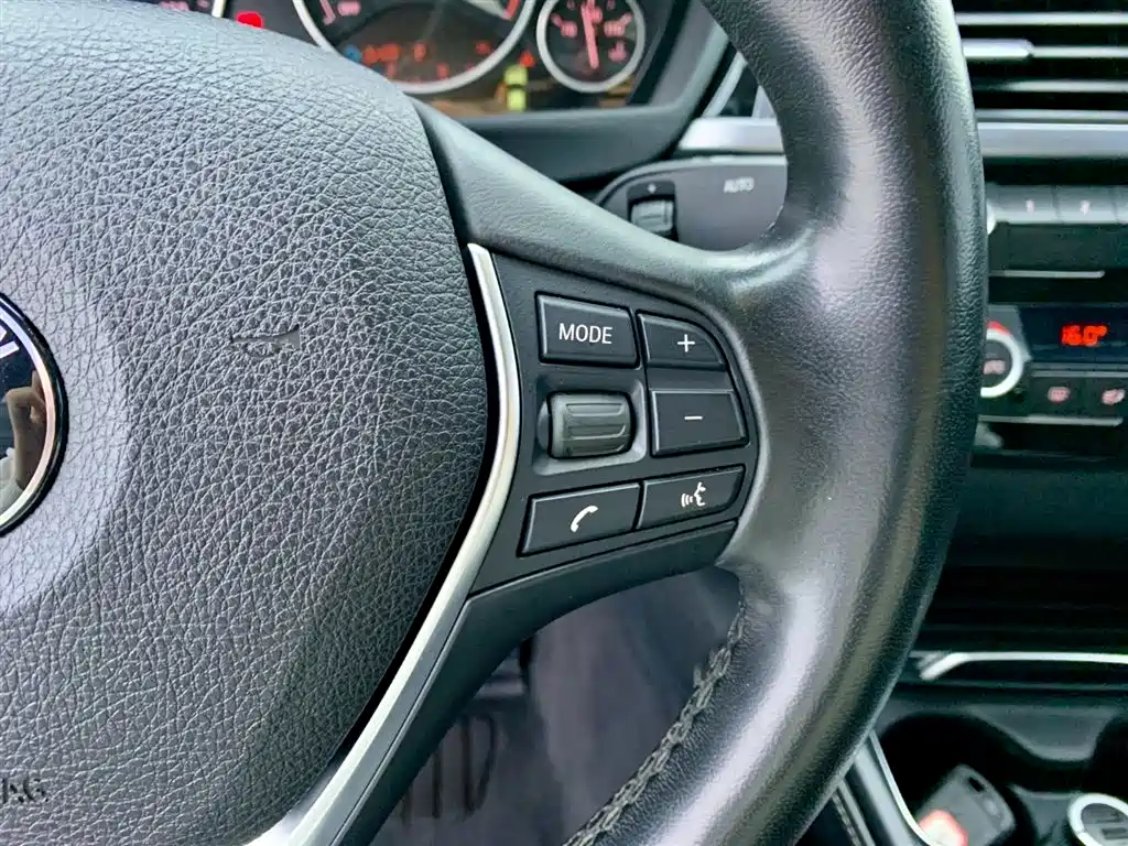 BMW 3 Series 2018 318Li фото 19