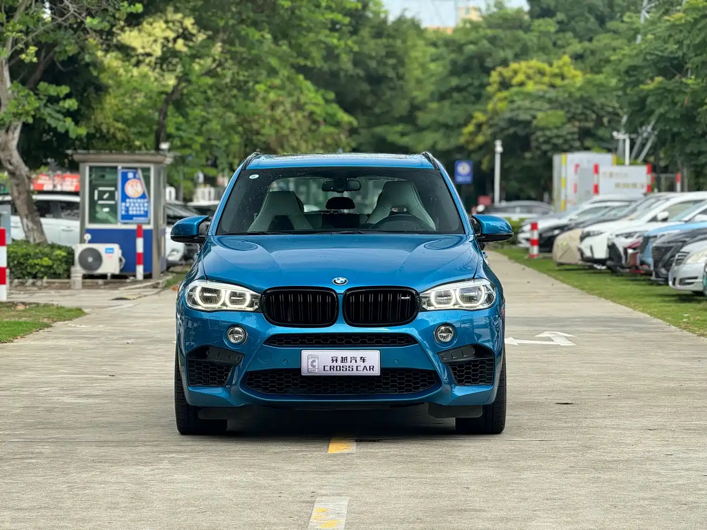 BMW X5 M 2015 X5 M фото 2