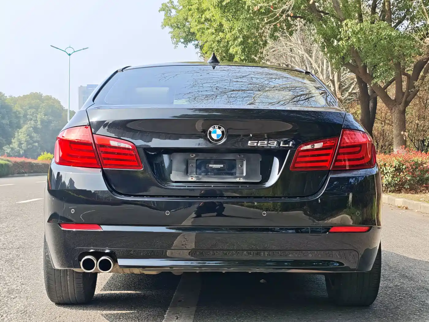 BMW 5 Series 2012 523Li Luxury фото 19