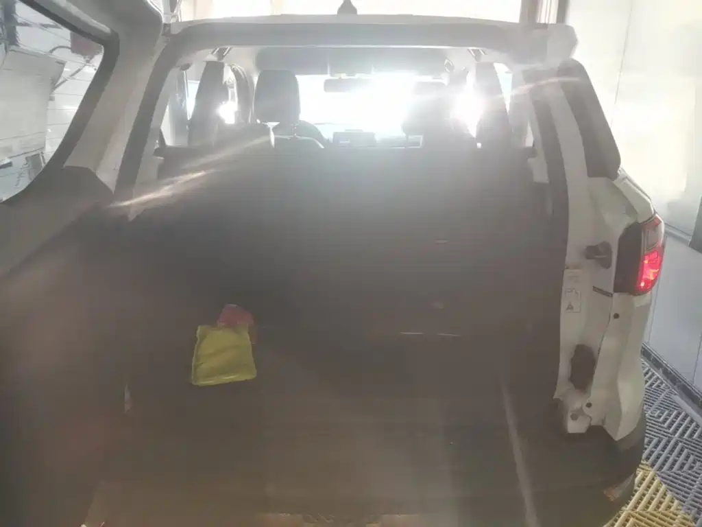 Photo 19 - Ford EcoSport