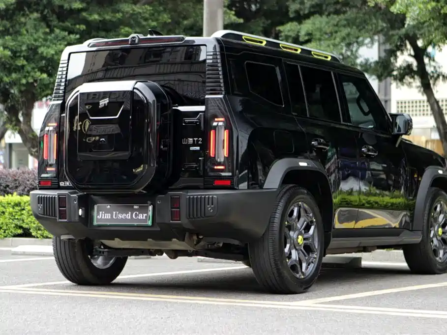 Jetour Shanhai T2 2025 2025 Model C-DM 208KM Wilderness Edition