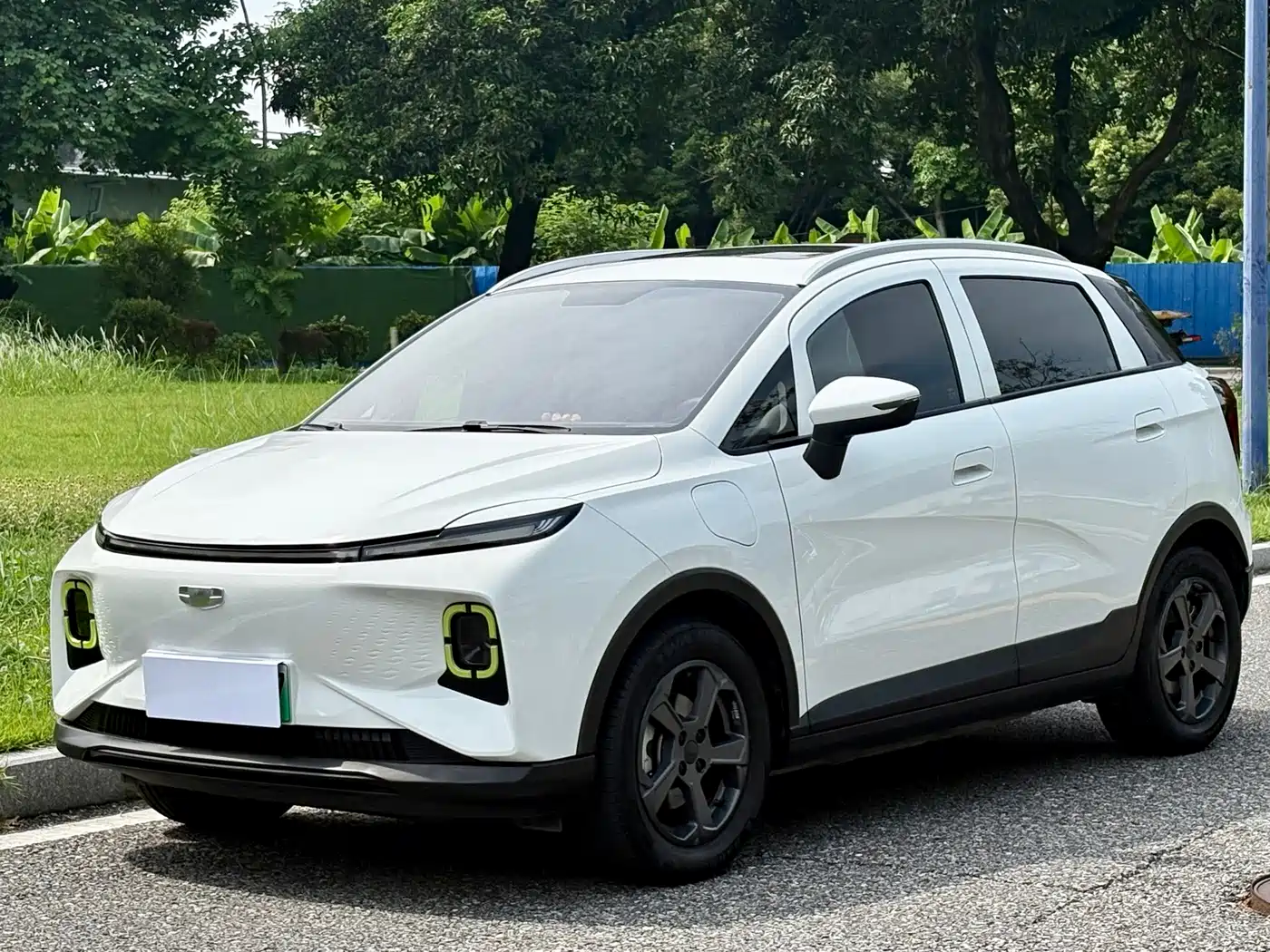 Geely Geometry E Firefly 2022 2022 401KM Delicate Tiger 4-seater
