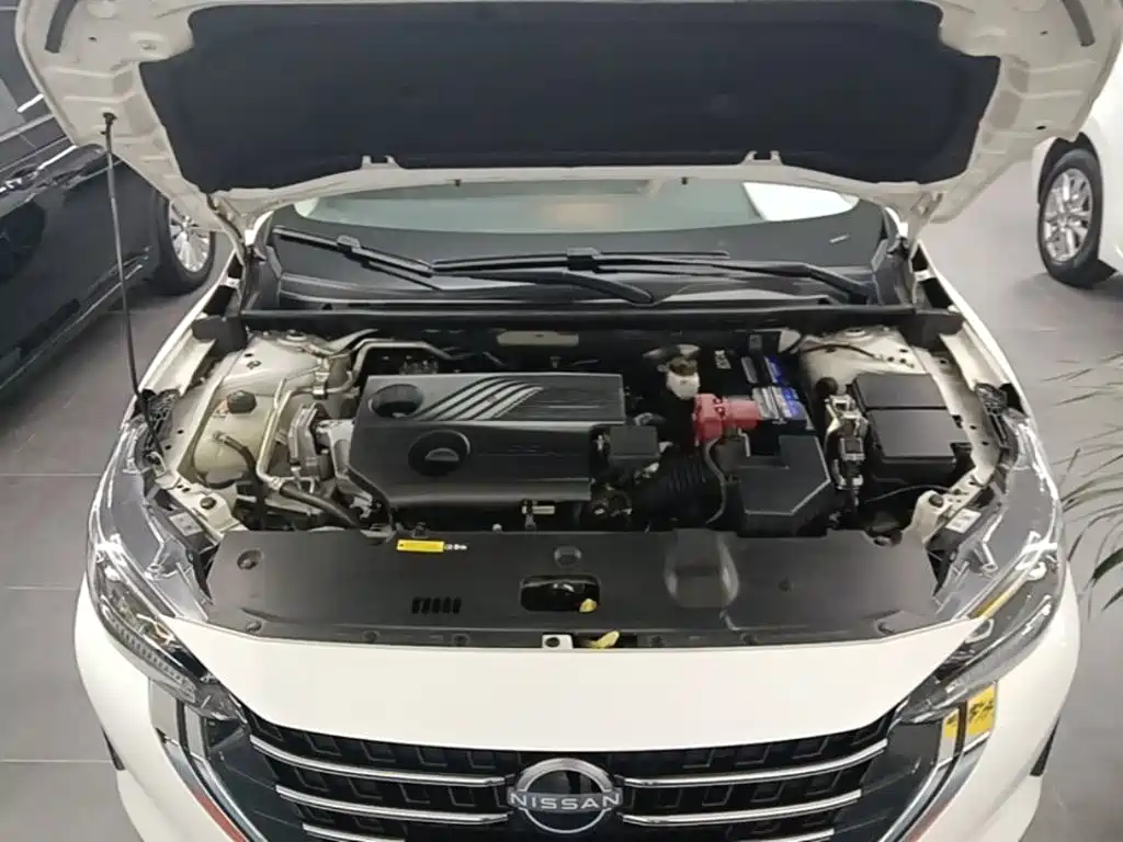 Фото 20 - Nissan Sylphy