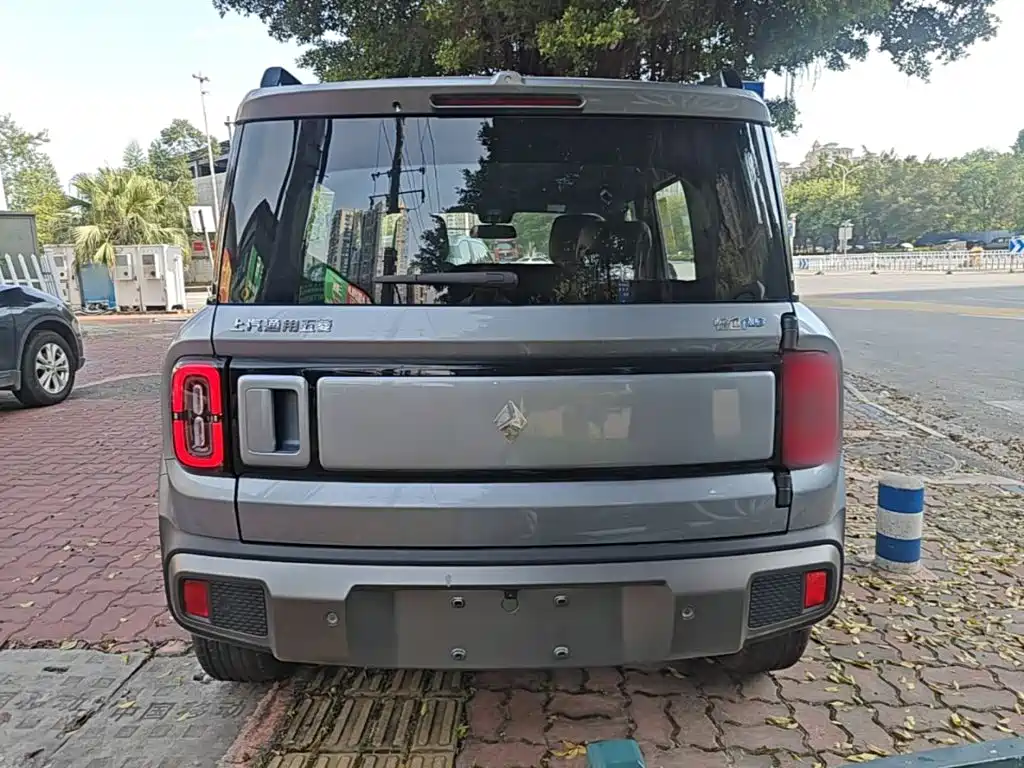 Baojun Yueye Plus 2026 2026 301km Flagship