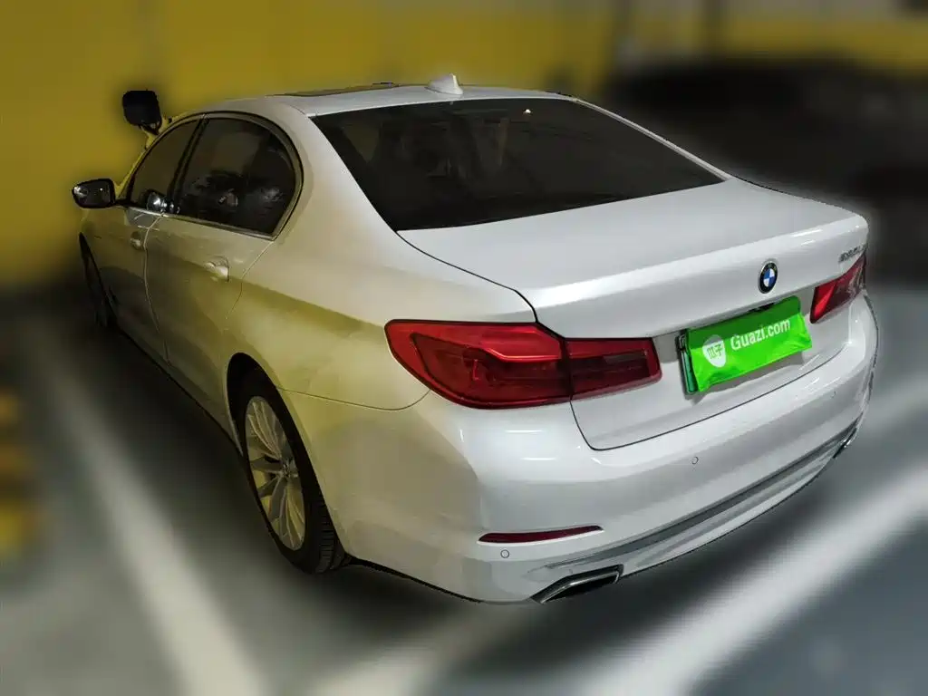 BMW 5 Series New Energy 2020 530Le Range Upgrade Luxury Package фото 4
