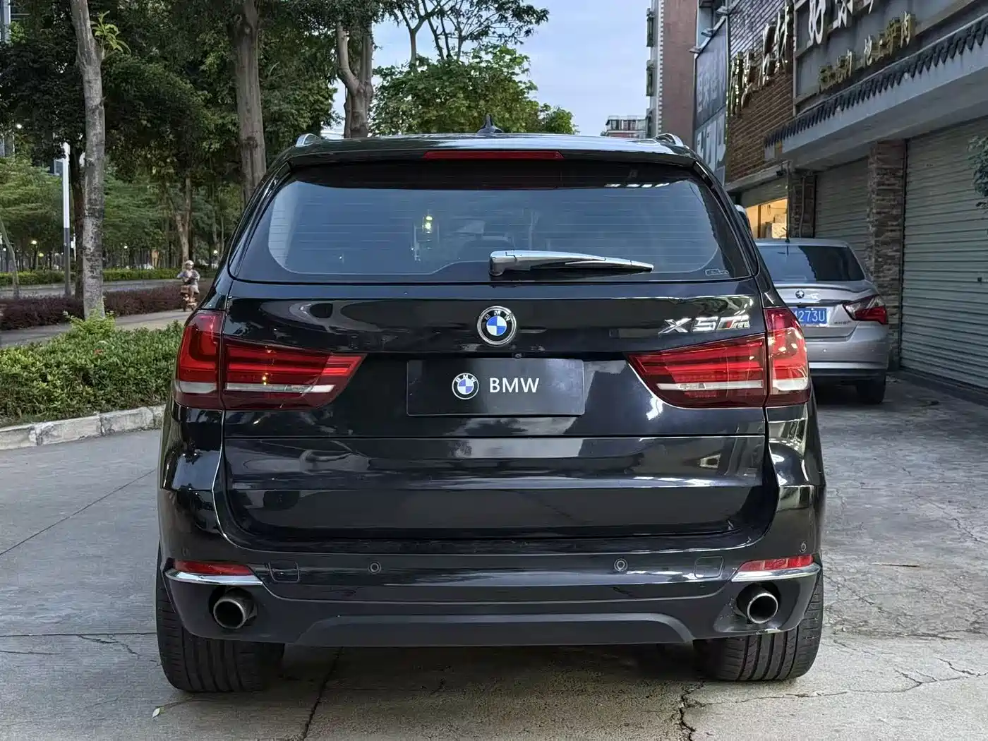 BMW X5 (Import) 2014 xDrive35i Elegance фото 8