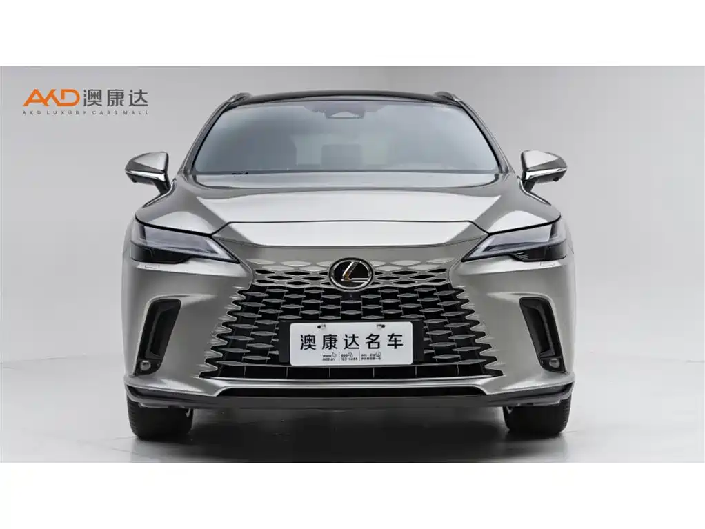 Lexus RX New Energy 2023 450h+ 4WD Enjoyment фото 2