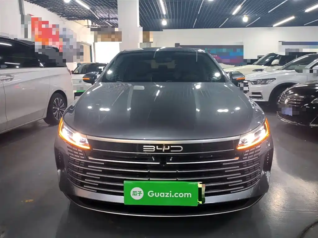 BYD Destroyer 05 2024 Glory Edition DM-i 55KM Luxury фото 3