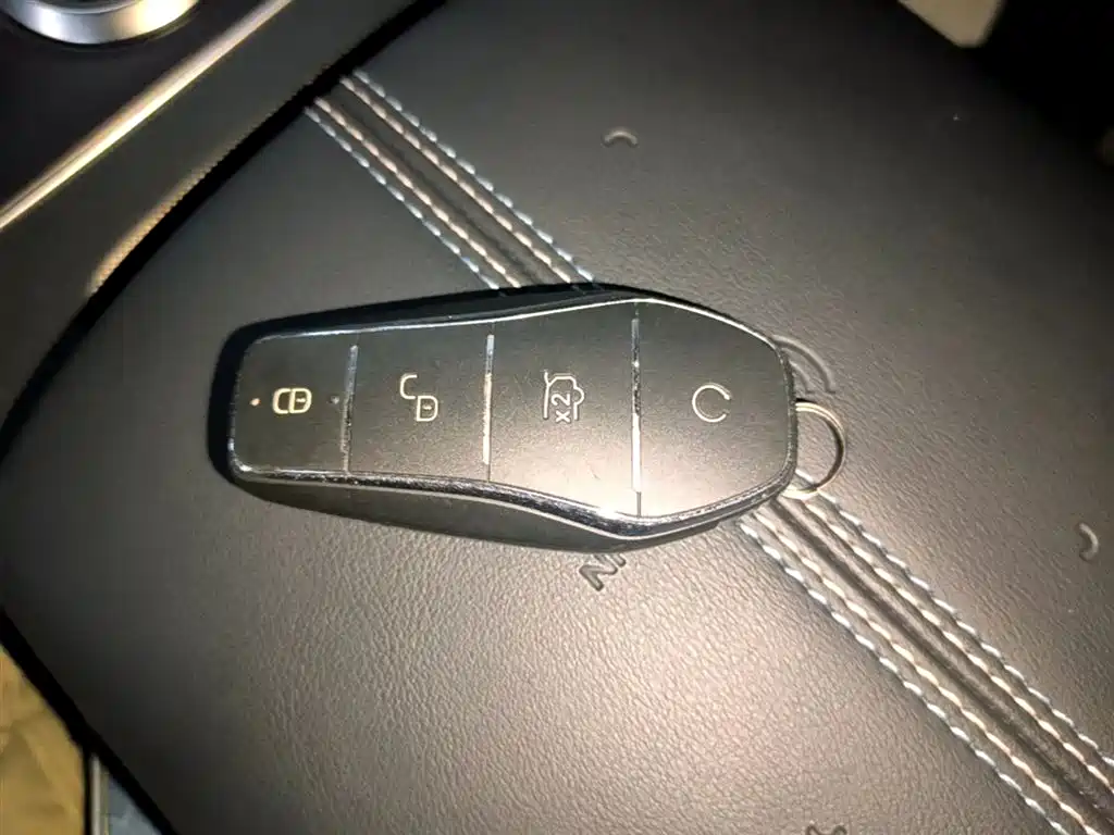 BYD Destroyer 05 2024 Glory Edition DM-i 55KM Luxury фото 9